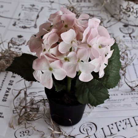 Hortensie Rosa Topfblume Kunstblume Blühpflanze